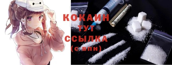 mix Белокуриха