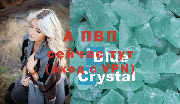 гидра Тихорецк