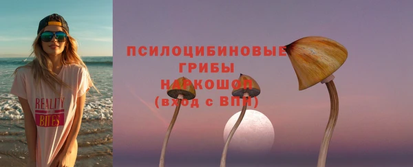 гидра Белоозёрский