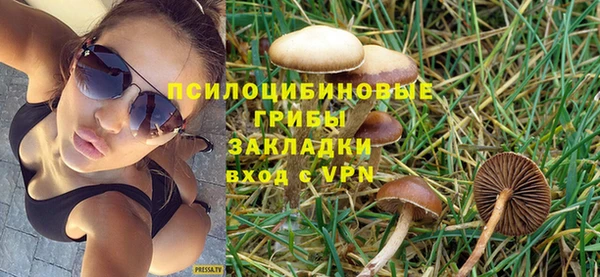 гидра Белоозёрский