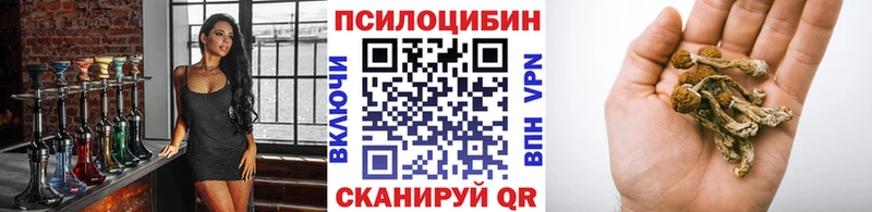 МЕГА tor Бутурлиновка Псилоцибиновые грибы MAGIC MUSHROOMS где купить наркоту