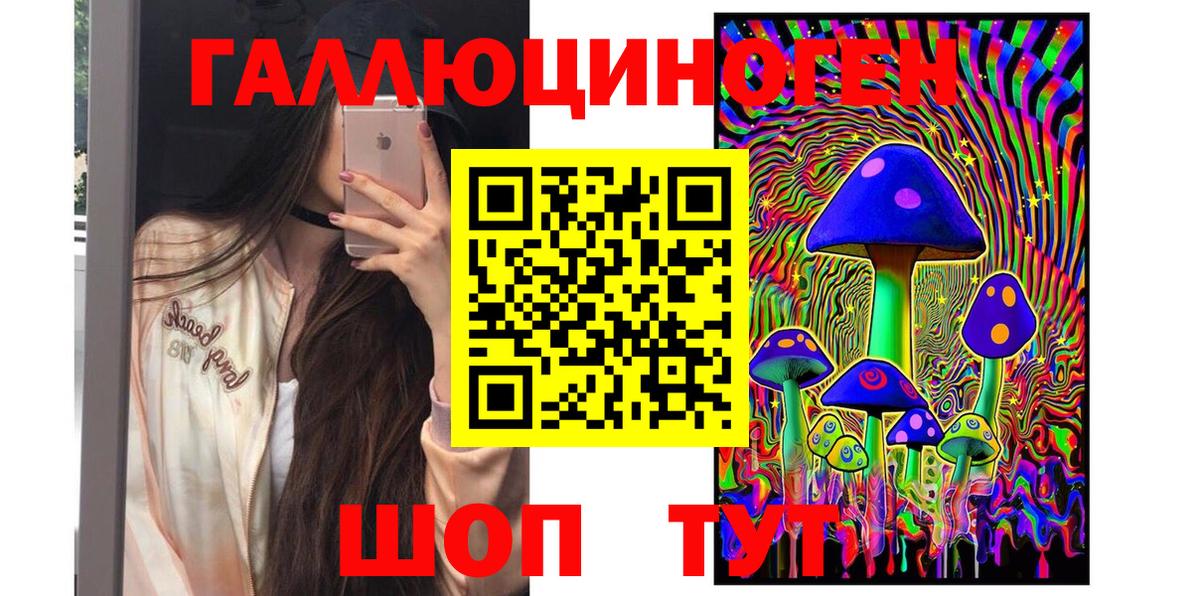 Галлюциногенные грибы Psilocybine cubensis  Бутурлиновка 