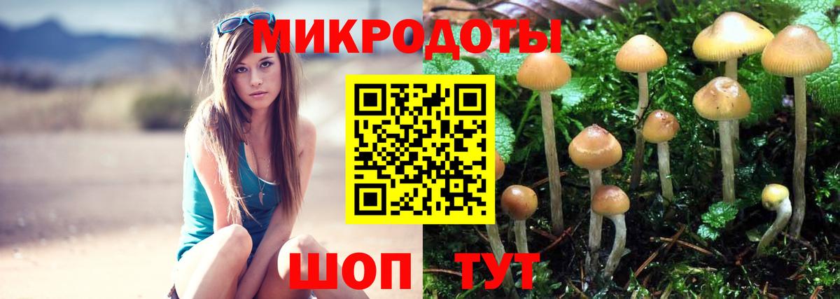 Галлюциногенные грибы ЛСД Бутурлиновка